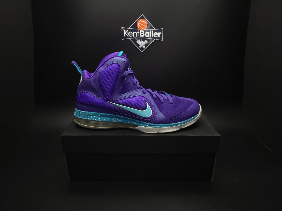 Lebron hornets clearance shoes